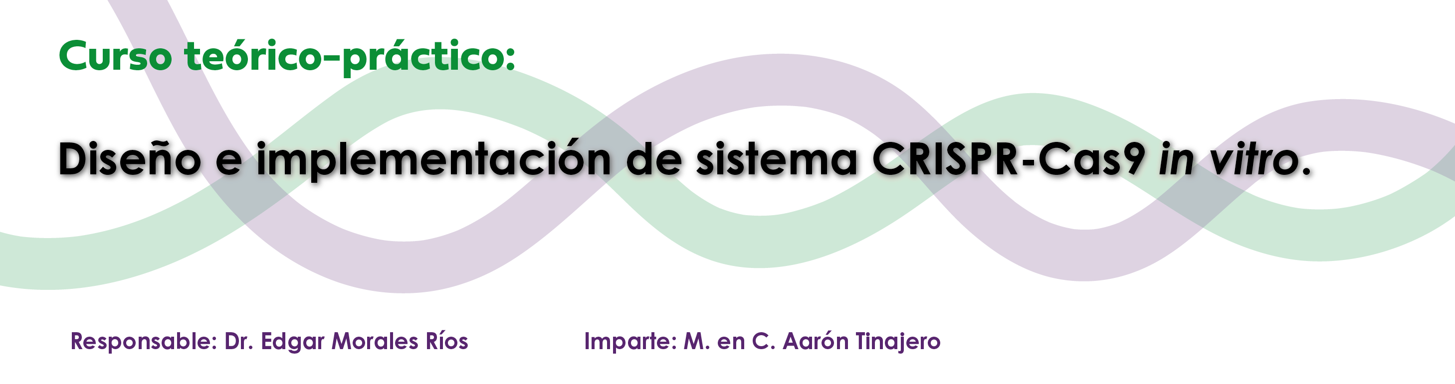 Curso Teórico Práctico CRISPR